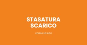 Scopri di più sull'articolo Stasatura Scarico